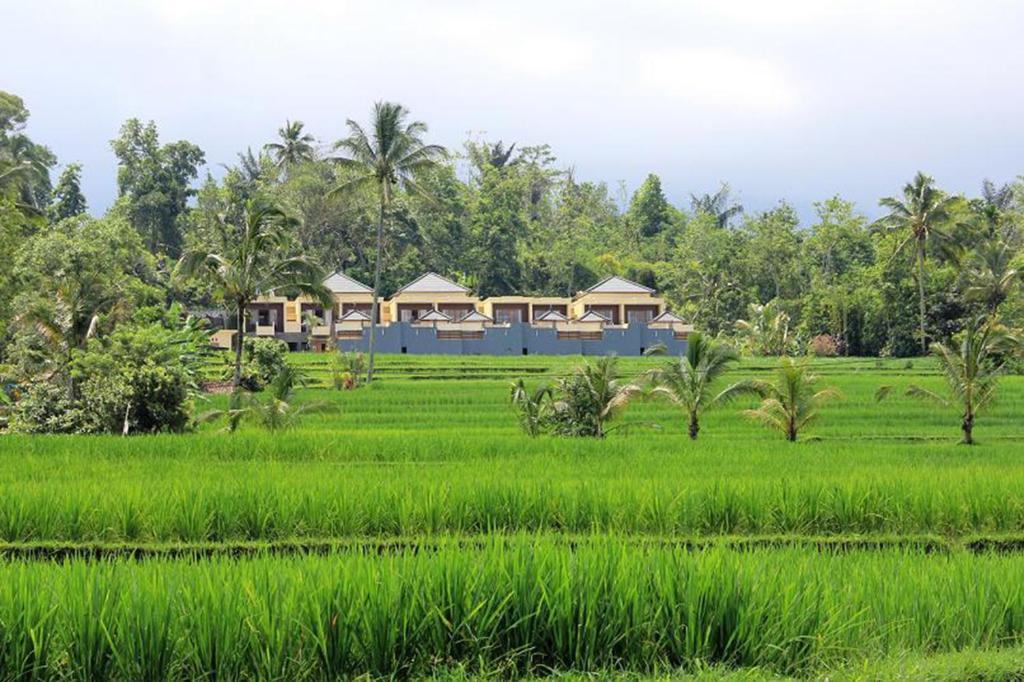 Hotel Batukaru Bali Exteriér fotografie